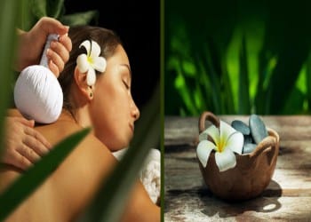 The ayurvedic remedies to slow down aging in A Natural Manner.