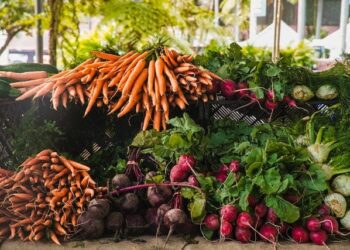 Carrots, Health Benefits of Carrots with Antioxidants Support