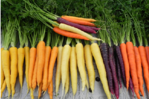 Carrots, Health Benefits of Carrots, with antioxidants support