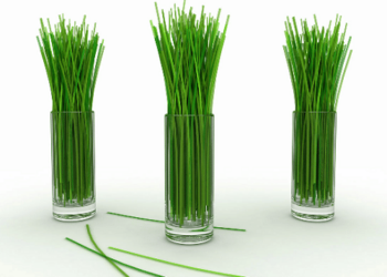 Lemongrass tea, How to Lose Weight with Lemongrass