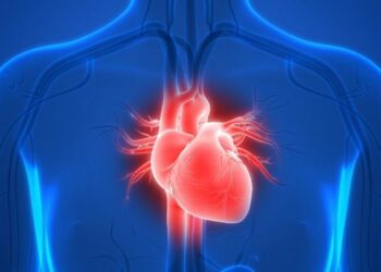 Disease, How Can Health Risk Factors Be Prevented