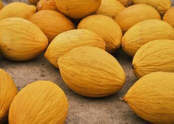 Free Diet Tips In India, Why You Must Eat Muskmelon