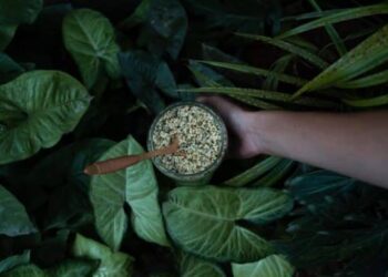 Why add Hemp Hearts in Your Weight Loss Diet Plan