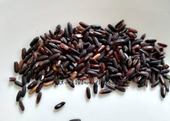 Black Rice, Should You Make It Part Of Your Diabetic Diet Plan?