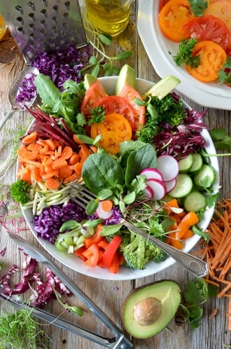 Atkins Diet Plan For Vegetarians | Atkins Diet Recipes