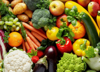 Healthy Lifestyle, More about Losing Weight Fast, and Dieting