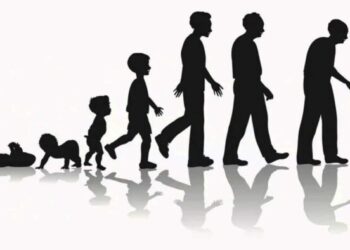 Life expectancy, Why is the US Lower than other Countries